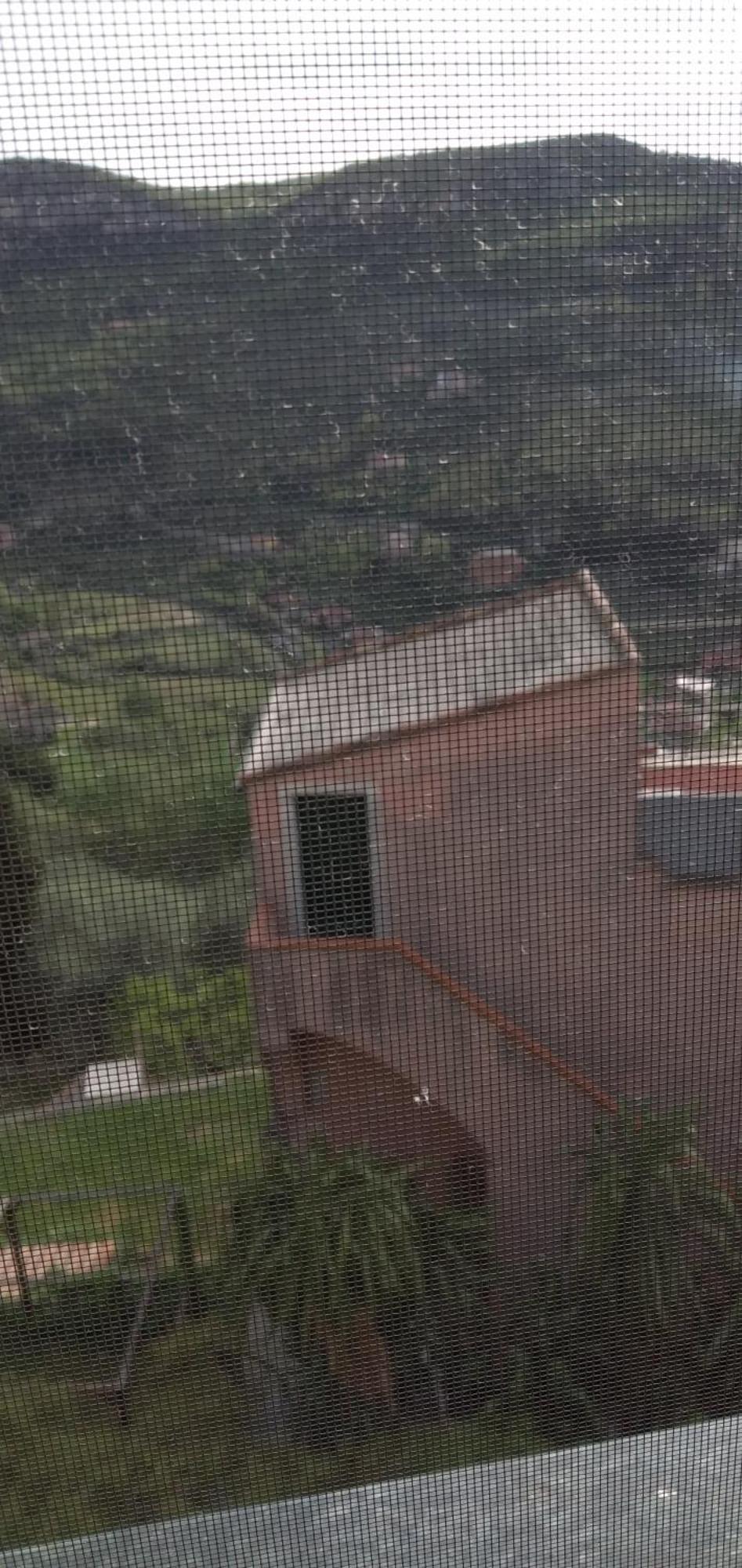 Cà degli Ulivi Finale Ligure Quarto foto