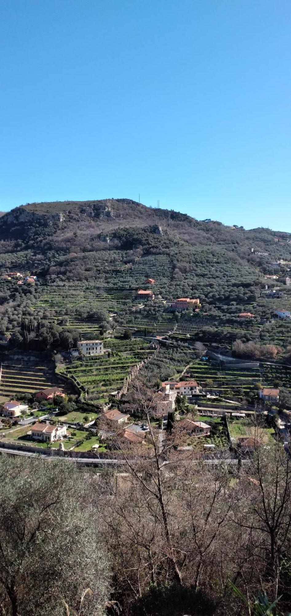 Cà degli Ulivi Finale Ligure Quarto foto