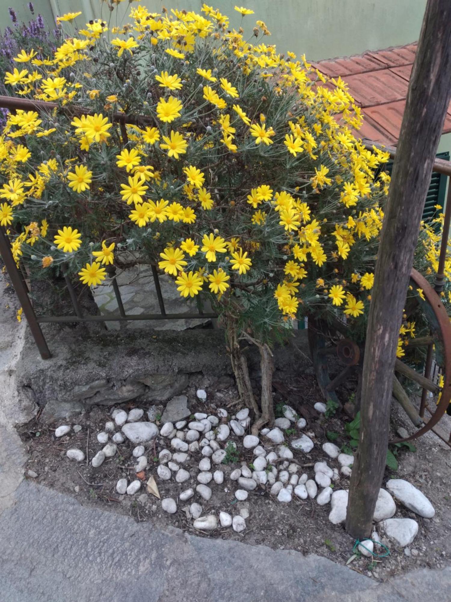 Cà degli Ulivi Finale Ligure Exterior foto
